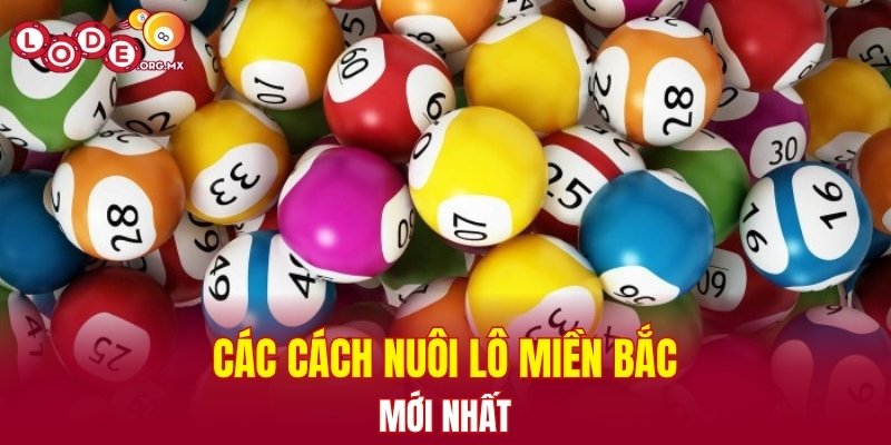 Các cách nuôi lô miền Bắc mới nhất
