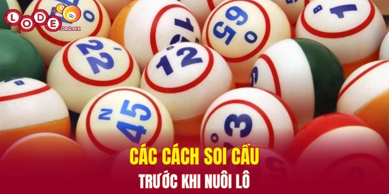 Các cách soi cầu trước khi nuôi lô