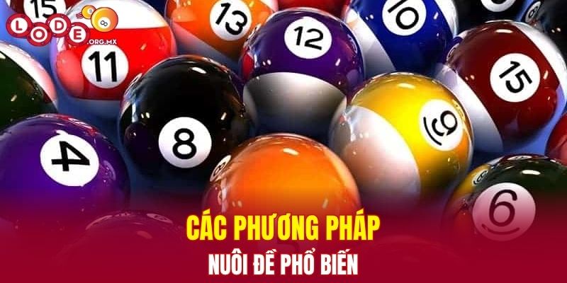 Các phương pháp nuôi đề phổ biến