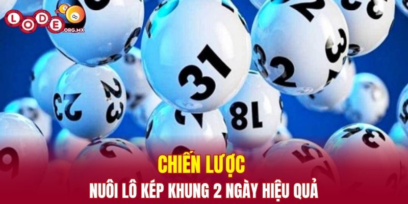 Chiến lược nuôi lô kép khung 2 ngày hiệu quả