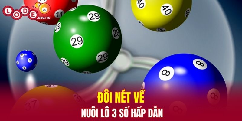 Đôi nét về nuôi lô 3 số hấp dẫn