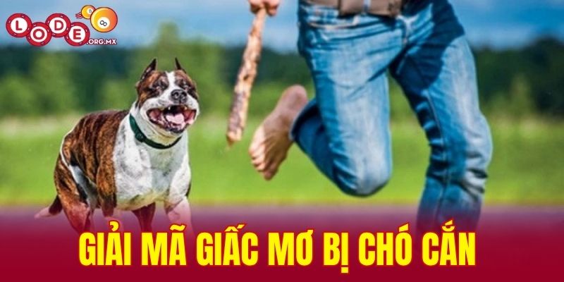 Giải mã giấc mơ bị chó cắn