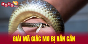Giải mã giấc mơ bị rắn cắn