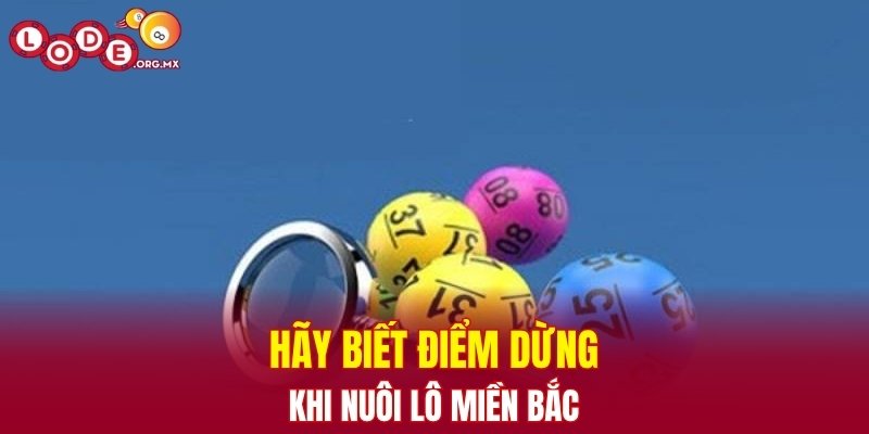 Hãy biết điểm dừng khi nuôi lô miền Bắc
