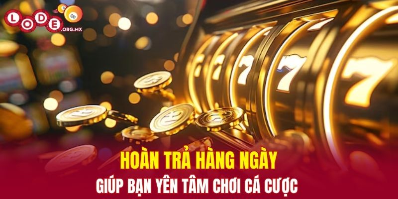 Hoàn trả hàng ngày giúp bạn yên tâm chơi cá cược tại nhà