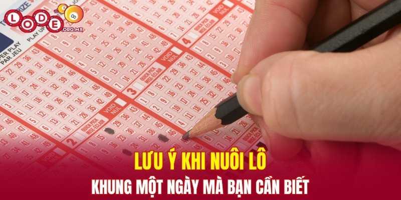 Cần lưu ý một vài điều để tăng khả năng nuôi lô kép