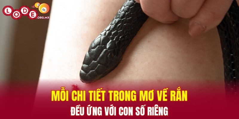 Mỗi chi tiết trong mơ về rắn đều ứng với con số riêng
