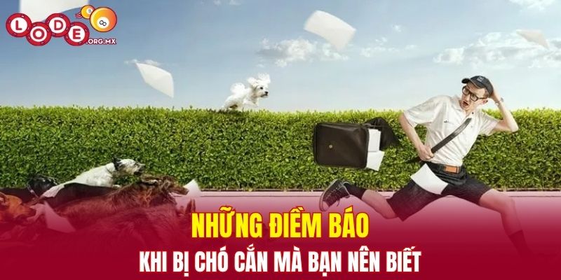 Những điềm báo khi bị chó cắn mà bạn nên biết