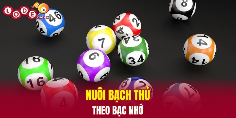 Nuôi bạch thủ lô 3 ngày theo cách bạc nhớ