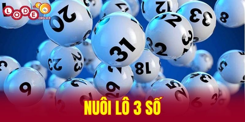 Nuôi lô 3 số