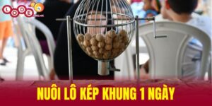 Nuôi lô kép khung 1 ngày