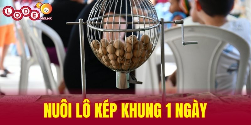 Nuôi lô kép khung 1 ngày