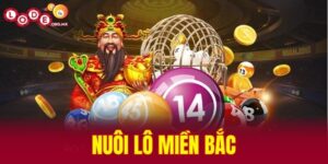 Nuôi lô miền Bắc