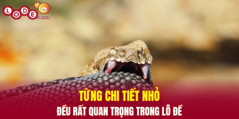 Từng chi tiết nhỏ đều rất quan trọng trong lô đề