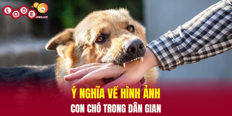 Ý nghĩa về hình ảnh con chó trong dân gian